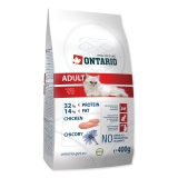 Ontario Cat Adult